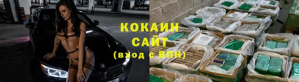 стафф Богородицк
