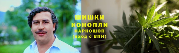 стафф Богородицк