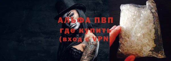 стафф Богородицк