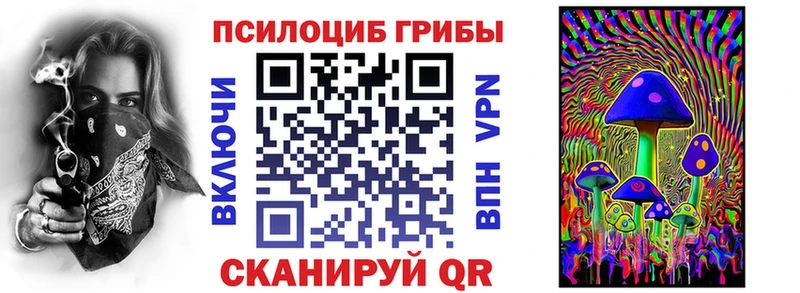 Псилоцибиновые грибы Cubensis Пущино