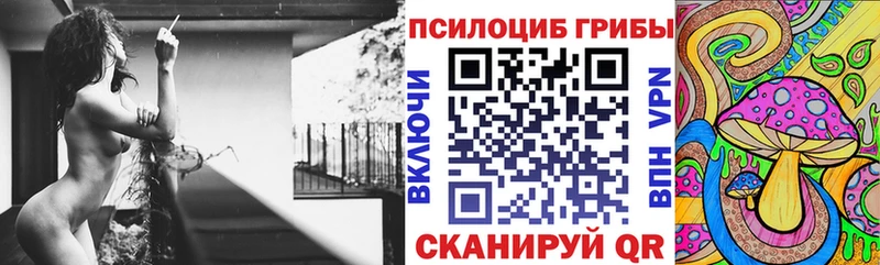 Галлюциногенные грибы Psilocybe  Купить где  Пущино 